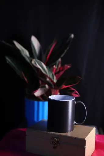 Magic Mug